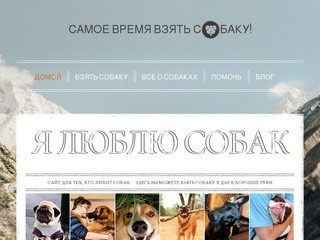 Самое время взять собаку!