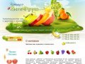 Поставщик фруктовых концентратов, фруктовых пюре и томатной пасты оптом  Компания МегаФрут г