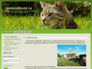 Emkostkomi.ru | Строительство капитальных каркасных домов под ключ в г. Сыктывкар