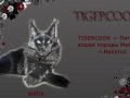 Питомник мейн кунов "Tigercoon" - Разведение, продажа кошек и котов породы мейн кун