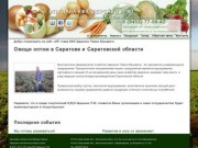 Купить овощи оптом, продажа овощей, овощная база в Саратове и Саратовской области