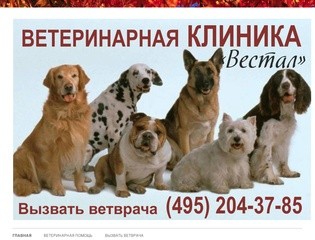 Ветеринарная служба Москвы | Хорошая ветеринарная клиника
