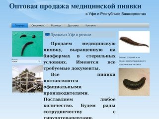 Оптовая продажа медицинской пиявки в Уфе и Республике Башкортостан