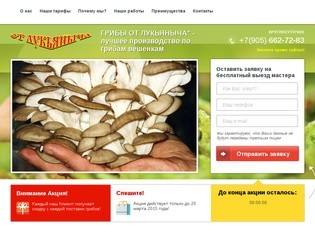 Landing page ремонт квартир в Санкт-Петербурге: купить, создать, разработать в Megagroup.ru