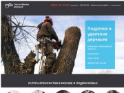 Удаление деревьев в Москве и Московской области аккуратно и недорого, цена