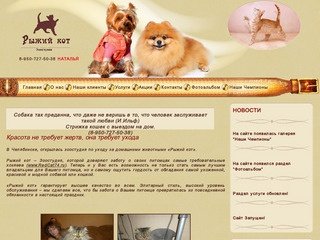 Зоостудия "Рыжий кот"