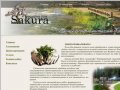 Ландшафтное ателье Сакура-лэнд, ландшафтный дизайн пенза