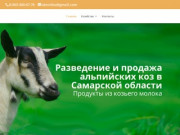 Разведение и продажа альпийских коз в Самарской области.