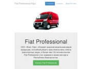 Fiat Professional Уфа
