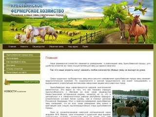 Продажа эдильбаевских овец Краснодарский край Крестьянское фермерское хозяйство