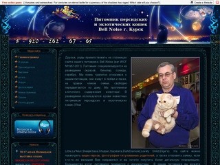Питомник персидских и экзотических кошек - Россия, Курск
