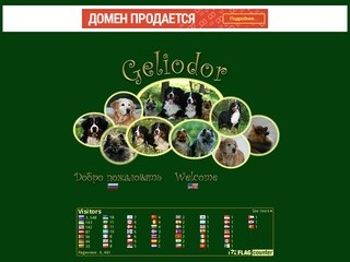 Geliodor - бернский зенненхунд, немецкий миниатюрный шпиц. Geliodor