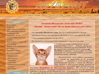 Сайт питомника абиссинских кошек - AbySpirit, продажа абиссинских котят