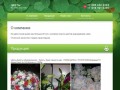 Продажа цветов - г. Белореченск