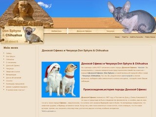 Донской Сфинкс и Чихуахуа  Don Sphynx & Chihuahua