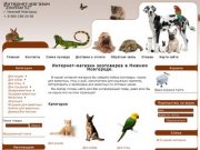 Интернет-магазин зоотоваров "ZooStar" в Нижнем Новгороде