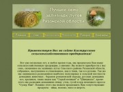 Лучшее сено заливных лугов Рязанской области!