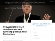 Государственный симфонический оркестр республики Татарстан