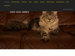 Main coon cattery 