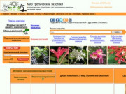 На нашем сайте вы можете приобрести экзотические растения и редкие семена. (Россия, Татарстан, Татарстан)