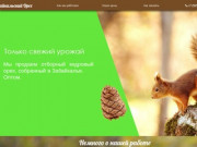 Поставки кедрового ореха | Байкальский орех