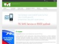 IT-компания TIS :: создание сайтов в Казани, продвижение сайтов в Казани