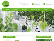 Минераловатный субстрат для выращивания рассады в Екатеринбурге - Эковер Грунт