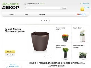 Кашпо и горшки для цветов в Москве от магазина Аскания Декор!