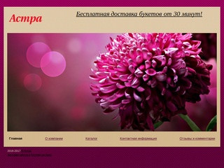Астра - Доставка цветов в Ростове-на-Дону