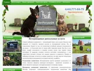 Усыпление домашних животных в Москве, кремация: усыпить собаку, усыпить кошку, эвтаназия животных