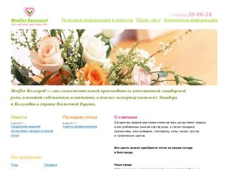 Продажа цветов оптом в Белгороде | Mosflor Белгород