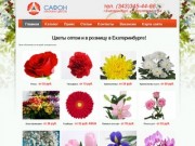 Магазин цветов Сафон - цветы оптом и в розницу в Екатеринбурге