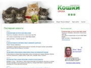Кошки и котята Омска. Продажа и покупка котят в Омске. Клубы и питомники Омска.