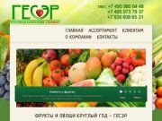 ГЕСЭР - Фрукты и овощи круглый год! Экзотические фрукты, тропические фрукты