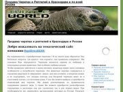 Продажа Черепах и Рептилий в Краснодаре и по всей России 