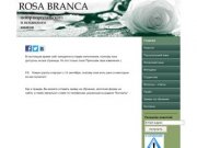Rosa Branca, центр португальского и испанского языков, Новосибирск