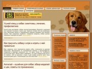 Собаки в Туле: адреса тульских ветклиник и зоомагазинов, отзывы