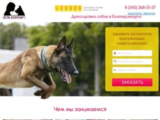 Дрессировка собак в Екатеринбурге