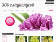 Интернет-магазин 300 гладиолусов (Россия, Алтай, Барнаул)