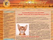 Сайт питомника абиссинских кошек - AbySpirit, продажа абиссинских котят