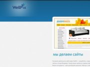 Мы делаем сайты | Веб-дизайн студия WellPix создание сайтов Владимир и Москва
