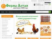 Ферма Алтая - Инкубирование и продажа птицы
