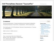 САУ Республика Хакасия "ТаштыпЛес" | Сайт организации