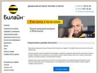 Домашний интернет Билайн Омск – (3812) 38-31-81