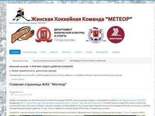 Женская хоккейная команда МЕТЕОР - Женская Хоккейная Команда "МЕТЕОР". г. Москва.