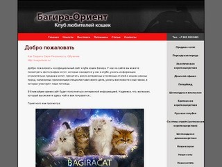Сайт питомника кошек Bagira, г. Владивосток