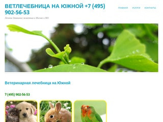 Ветлечебница на южной +7 (495) 902-56-53 | Лечение домашних животных в Москве и МО