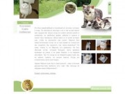 Сайт кота Маркиза http://www.markiz.ru