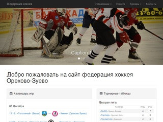 Федерация хоккея городского округа Орехово-Зуево