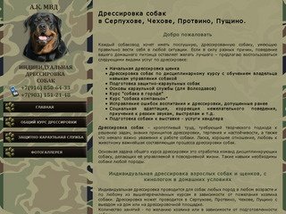 Дрессировка собак в Южном подмосковье: Серпухов, Чехов, Протвино, Пущино